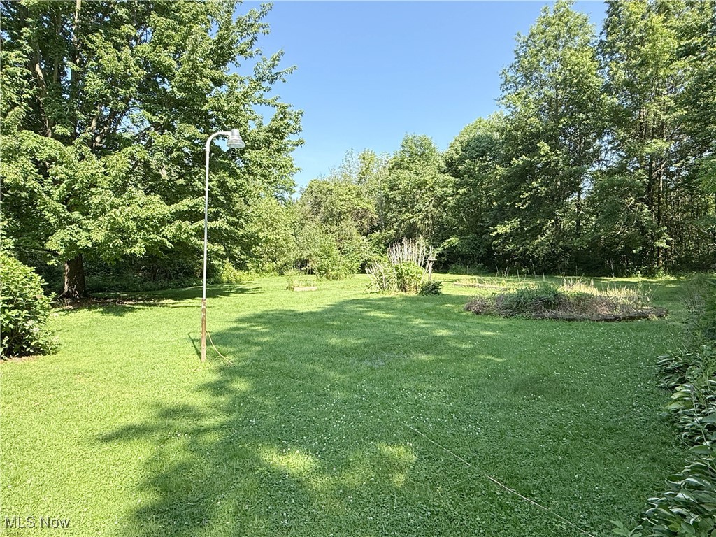 8756 Cook Road Salem, OH 44460 - Photo 39 of 50 View of green lawn