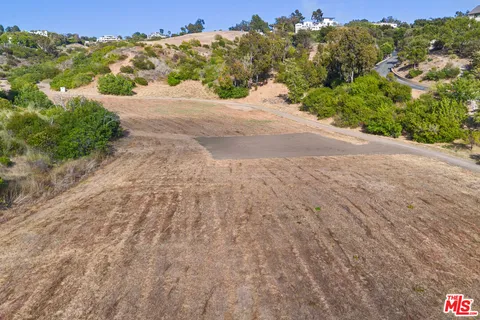 a view of a dry yard with large trees