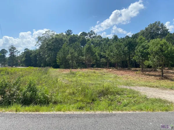$34,900 | 18371 Amite Acres Drive, Prairieville, LA 70769