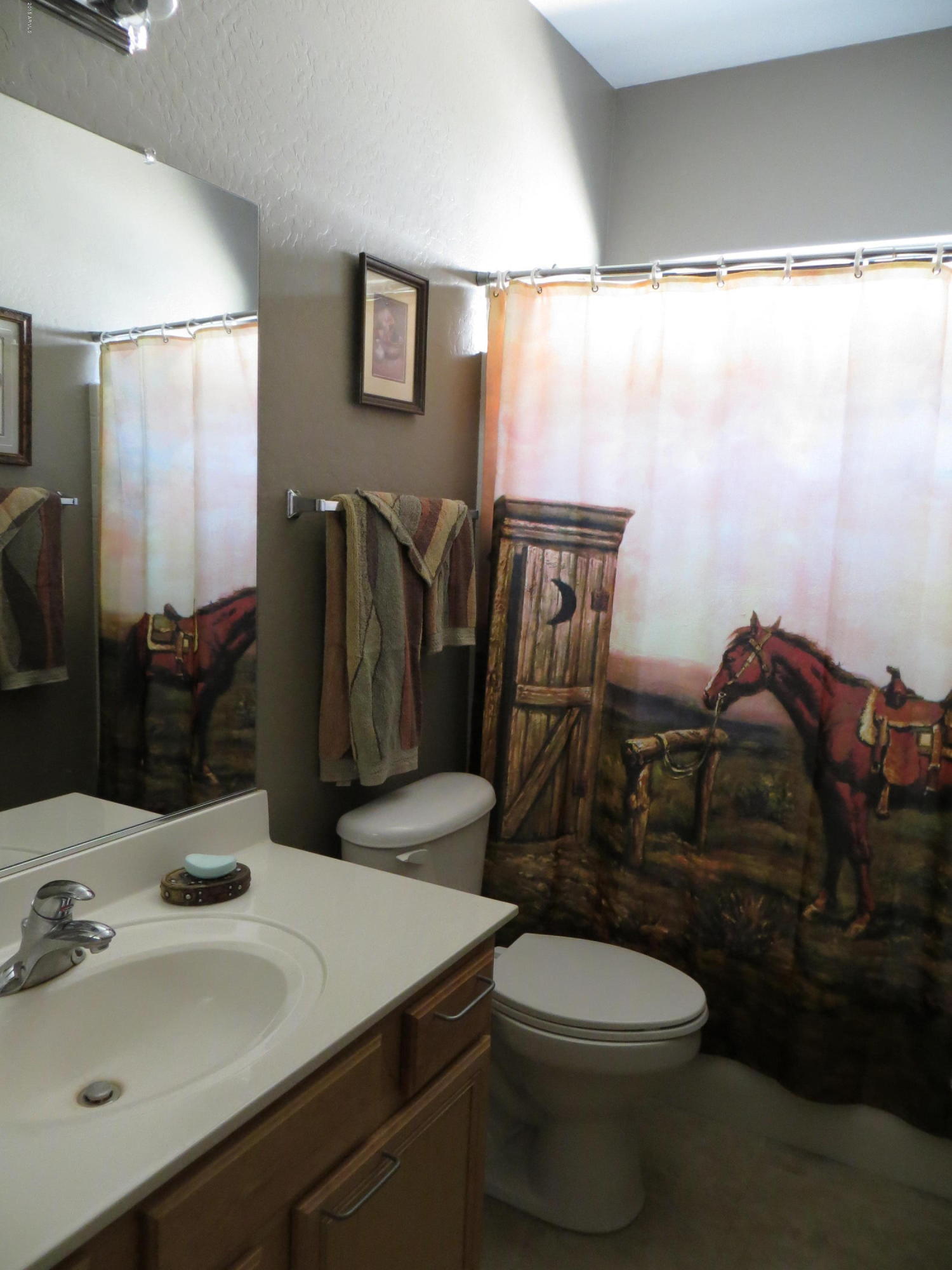 2101 South Meridian Road, Unit 197 Apache Junction, AZ 85120 - Photo 11 of 20 IMG_7266