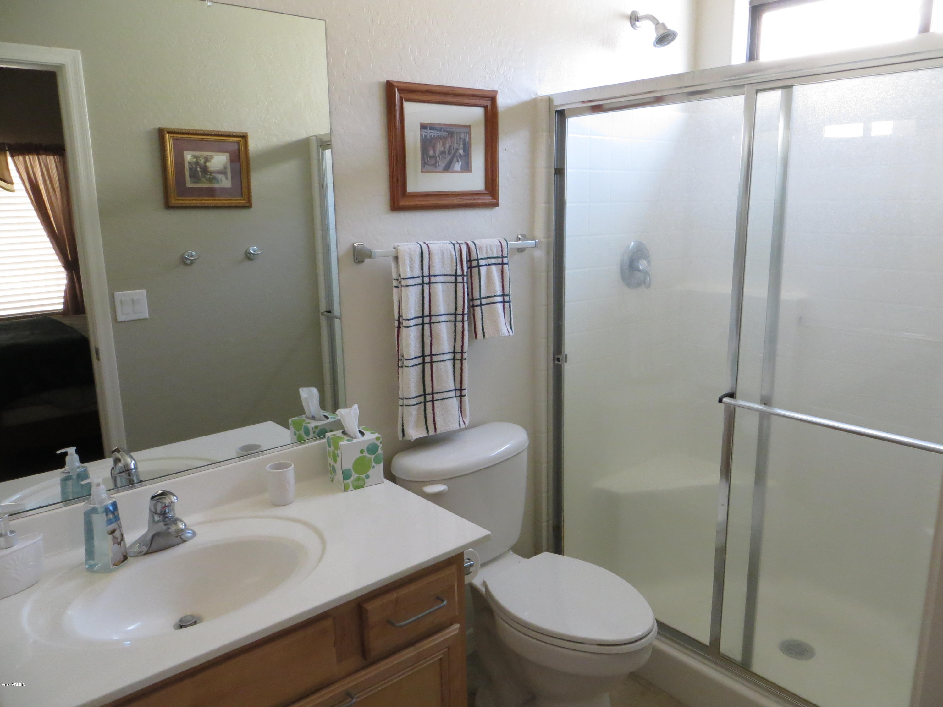 2101 South Meridian Road, Unit 197 Apache Junction, AZ 85120 - Photo 10 of 20 IMG_7252