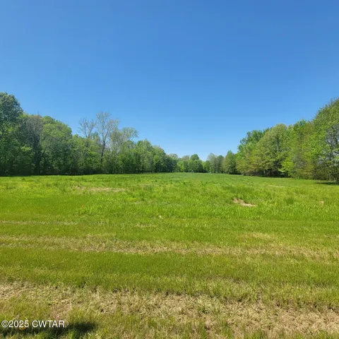 a view of a field with an ocean
