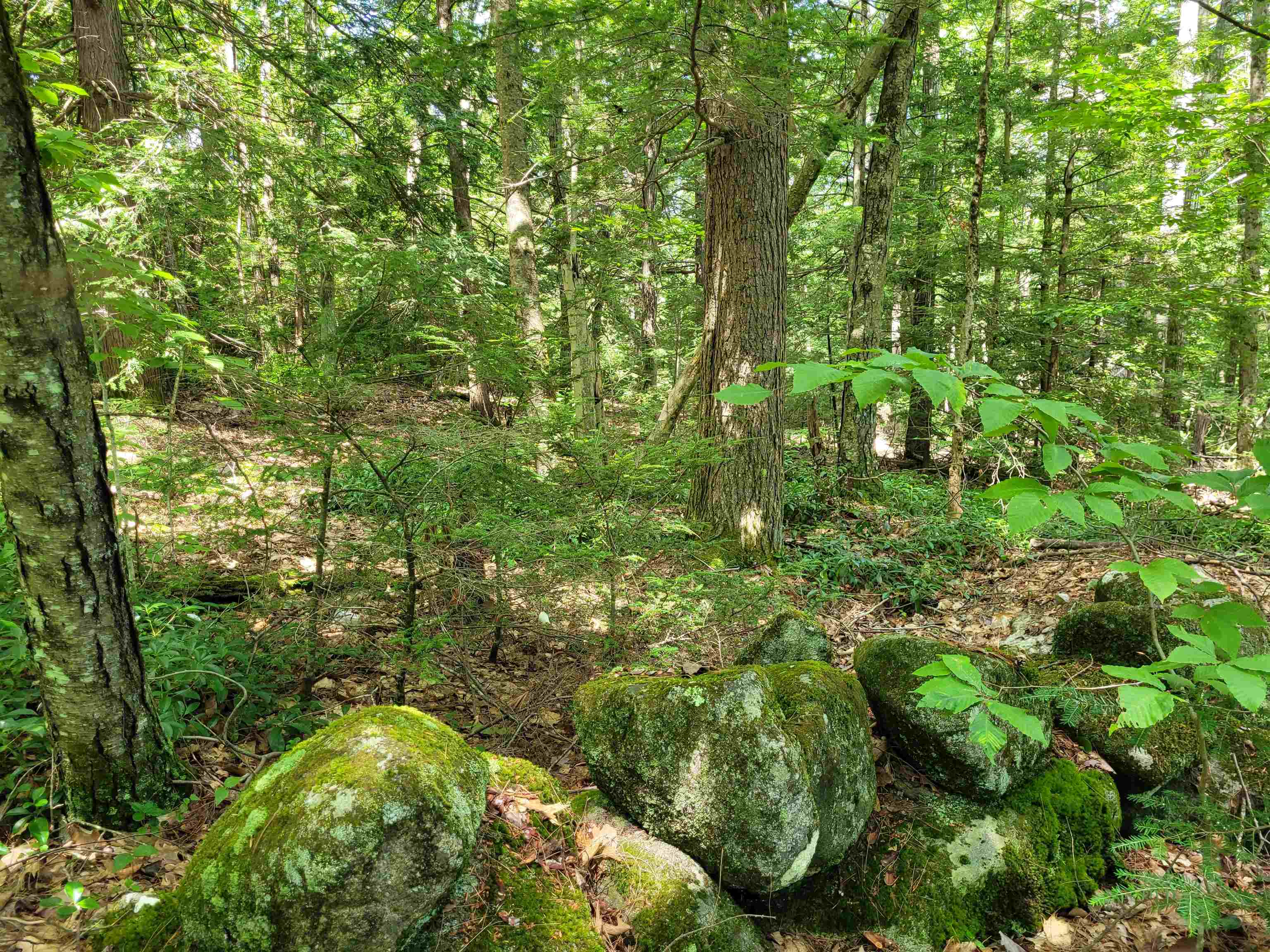 0 Taylor Hill Road Richmond, NH 03470 - Photo 3 of 6