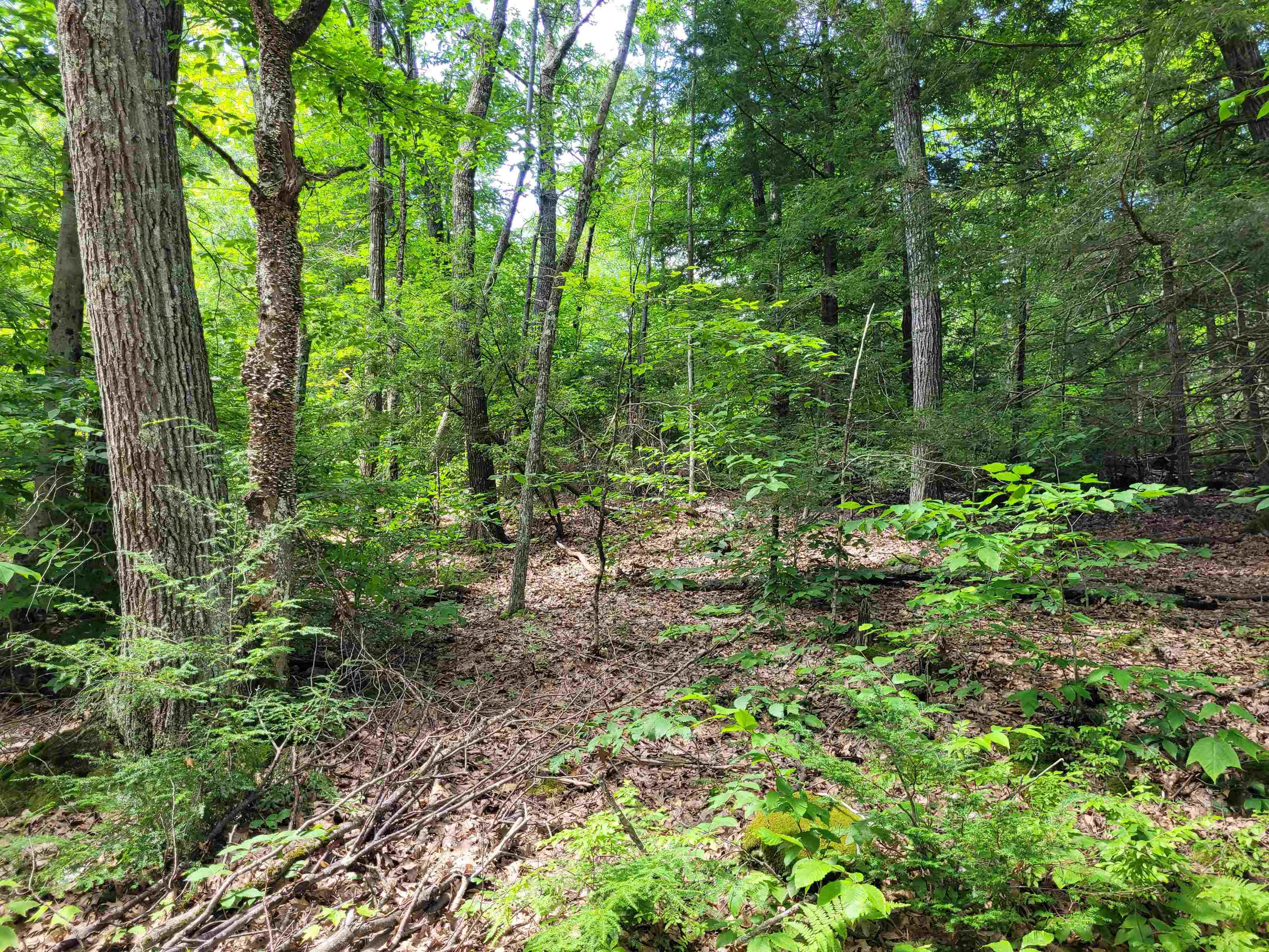 0 Taylor Hill Road Richmond, NH 03470 - Photo 5 of 6