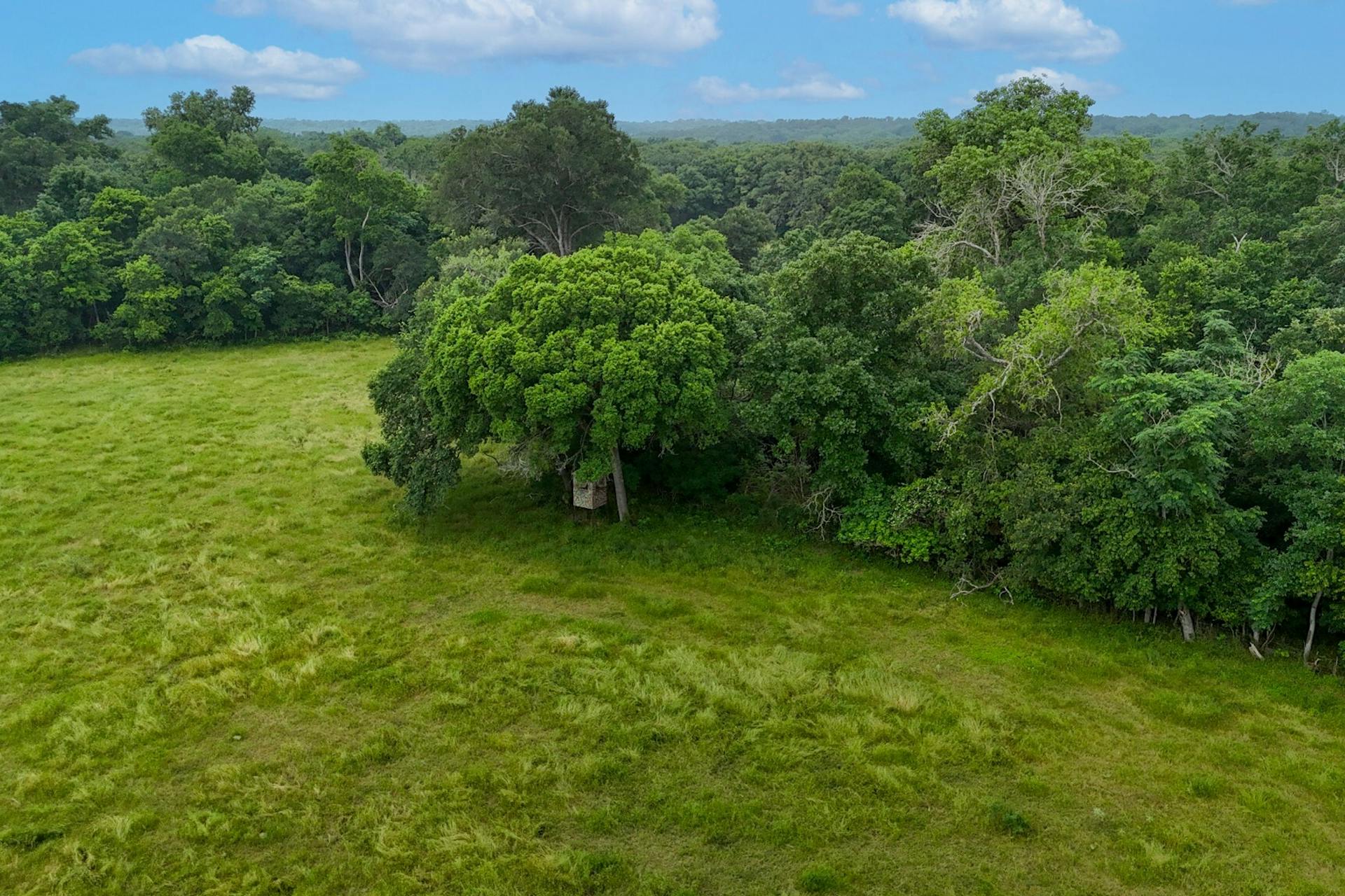 645 Jerrys Creek Road Lockhart, TX 78644 - Photo 3 of 16