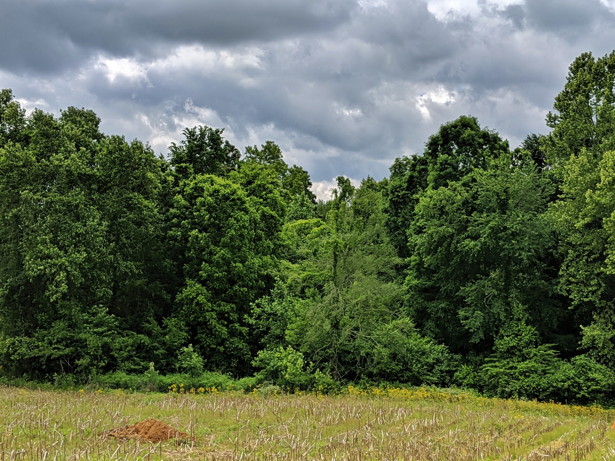 0 Bowker Road Charlotte, TN 37036 - Photo 1 of 1 Gallery Image 1