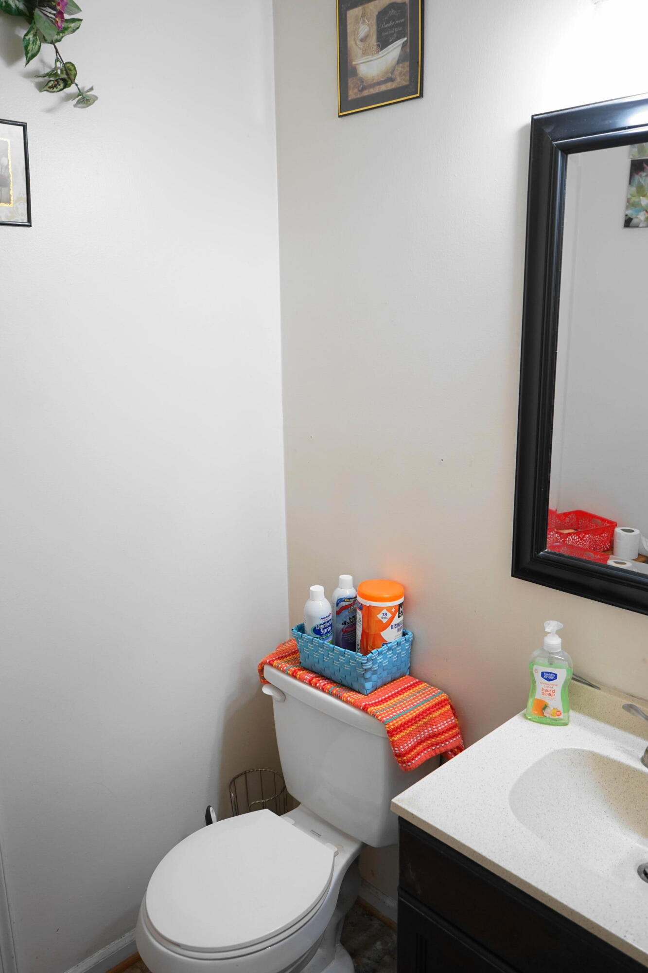 5320 Cove Road Roanoke, VA 24017 - Photo 19 of 30 a bathroom with a toilet a sink and a mirror