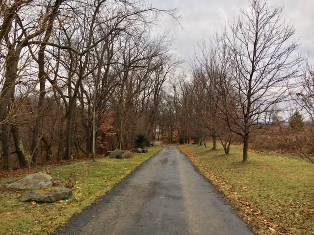 1245 Flatwoods Road Vanderbilt, PA 15486 - Photo 24 of 25 Private Driveway from Flatwoods Road coming up to the Residence. All you dreams about and more...