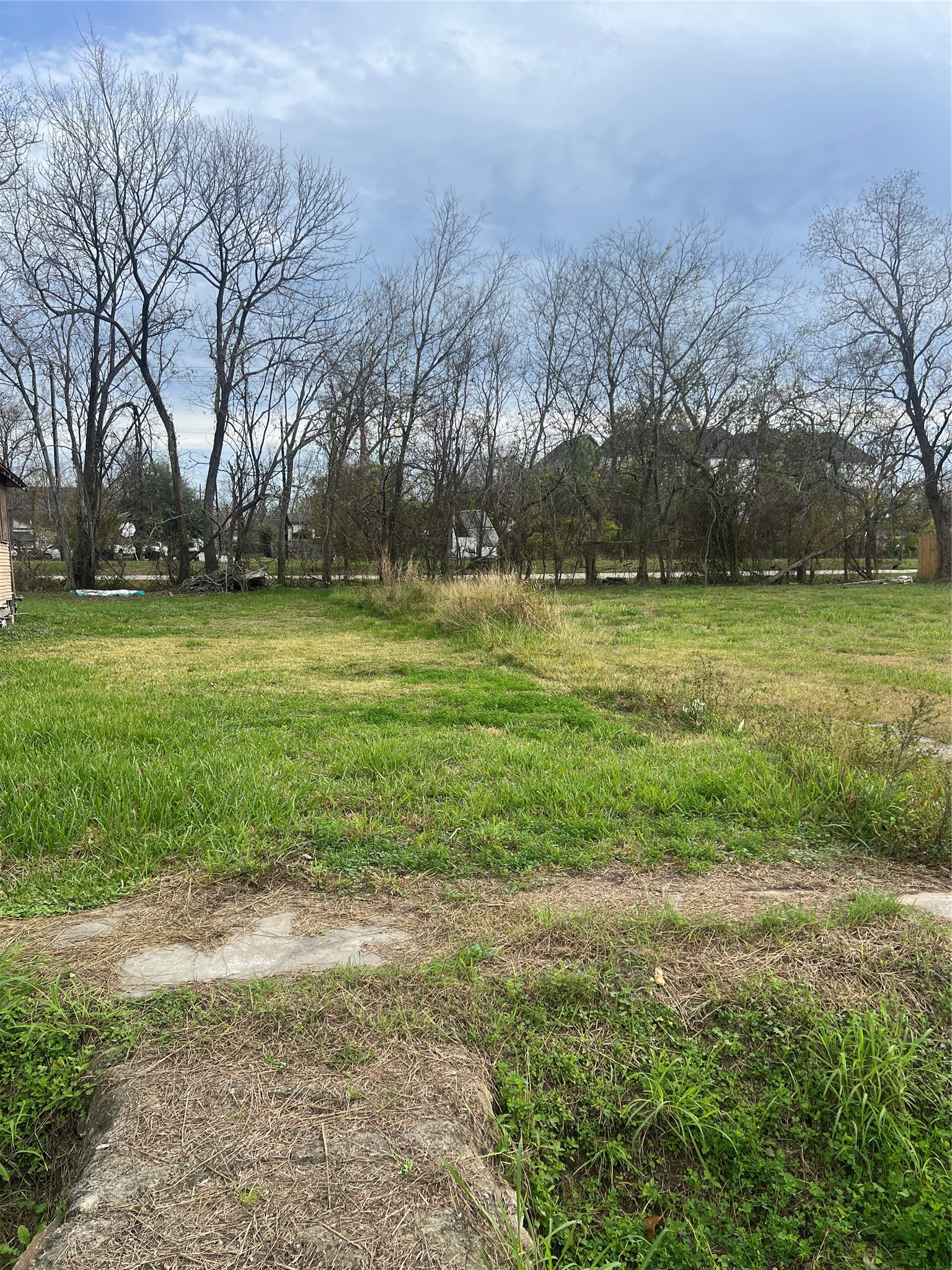 3313 Sauer Street Houston, TX 77004 - Photo 7 of 8 a view of a field of grass and trees