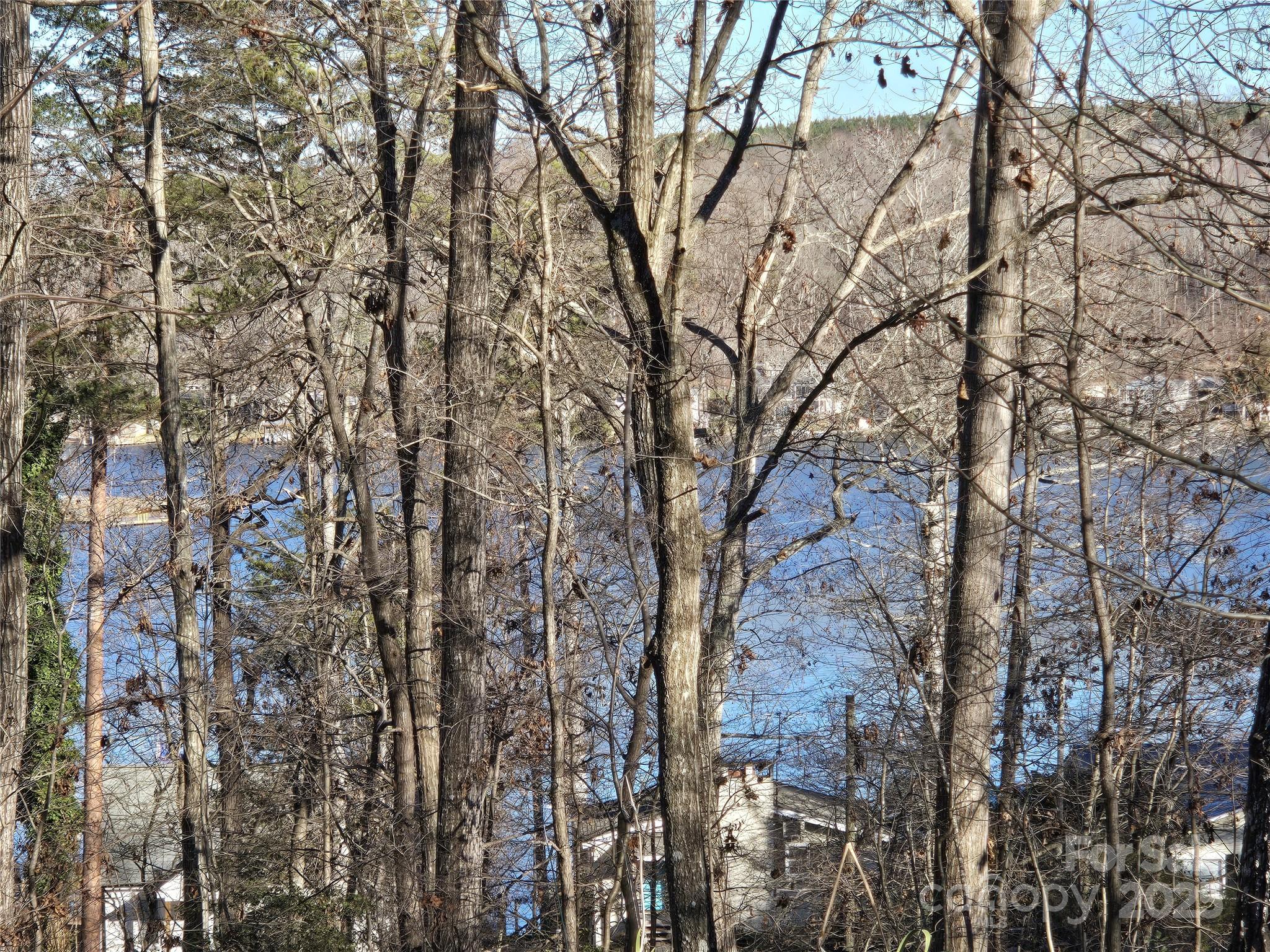 0 Pineridge Road, Unit 934 Badin Lake, NC 28127 - Photo 2 of 25