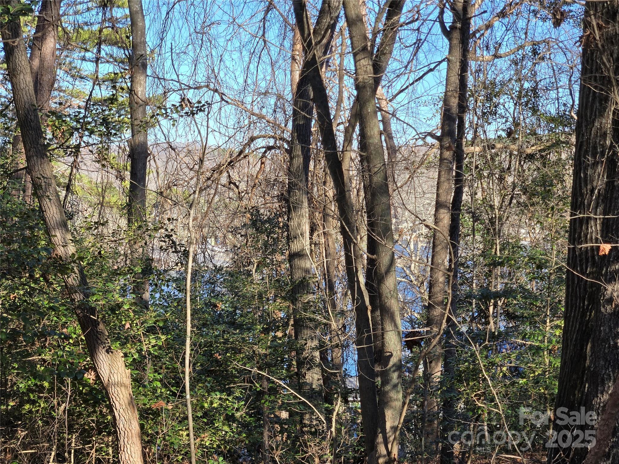 0 Pineridge Road, Unit 934 Badin Lake, NC 28127 - Photo 3 of 25