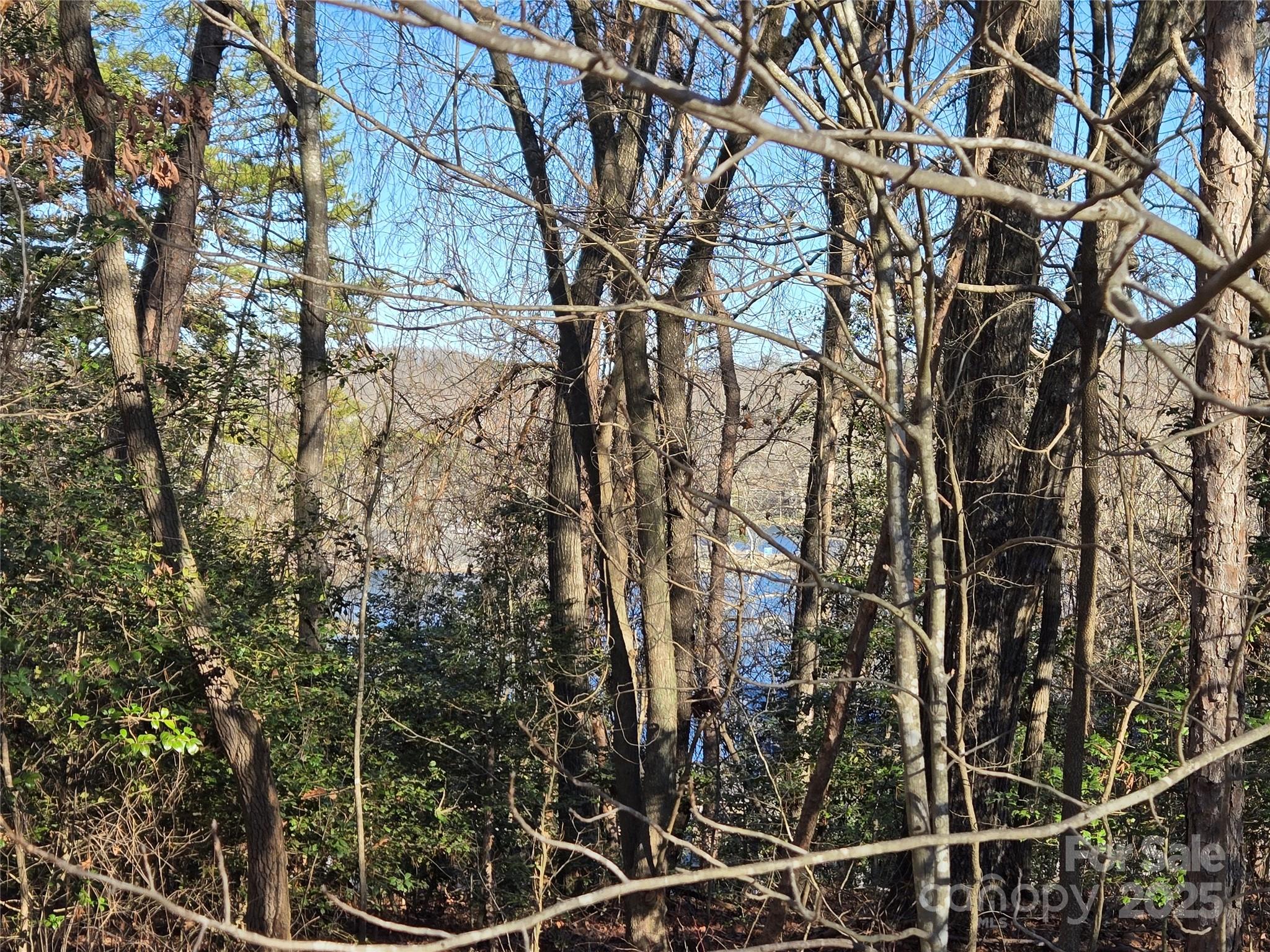 0 Pineridge Road, Unit 934 Badin Lake, NC 28127 - Photo 6 of 25