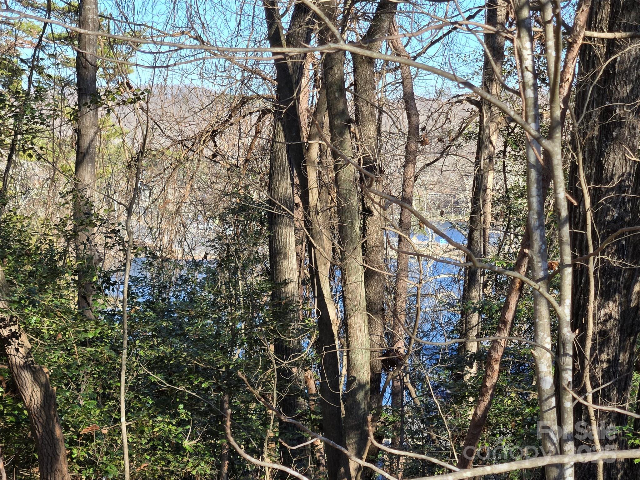 0 Pineridge Road, Unit 934 Badin Lake, NC 28127 - Photo 7 of 25