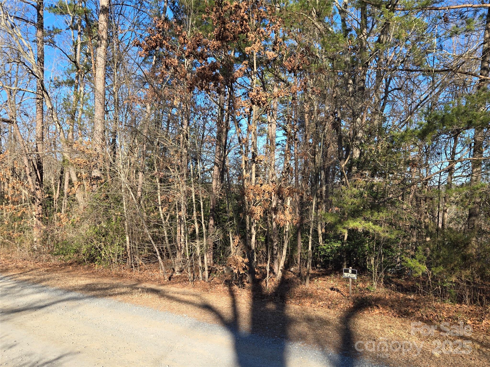 0 Pineridge Road, Unit 934 Badin Lake, NC 28127 - Photo 10 of 25