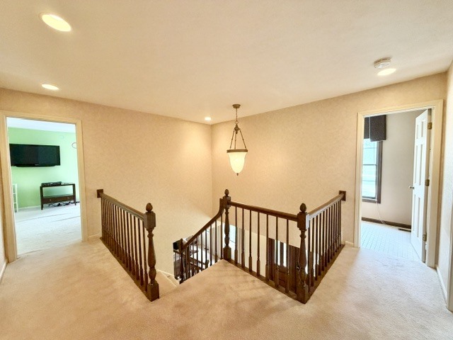11-n071 Johnstoun Road Elgin, IL 60124 - Photo 62 of 90