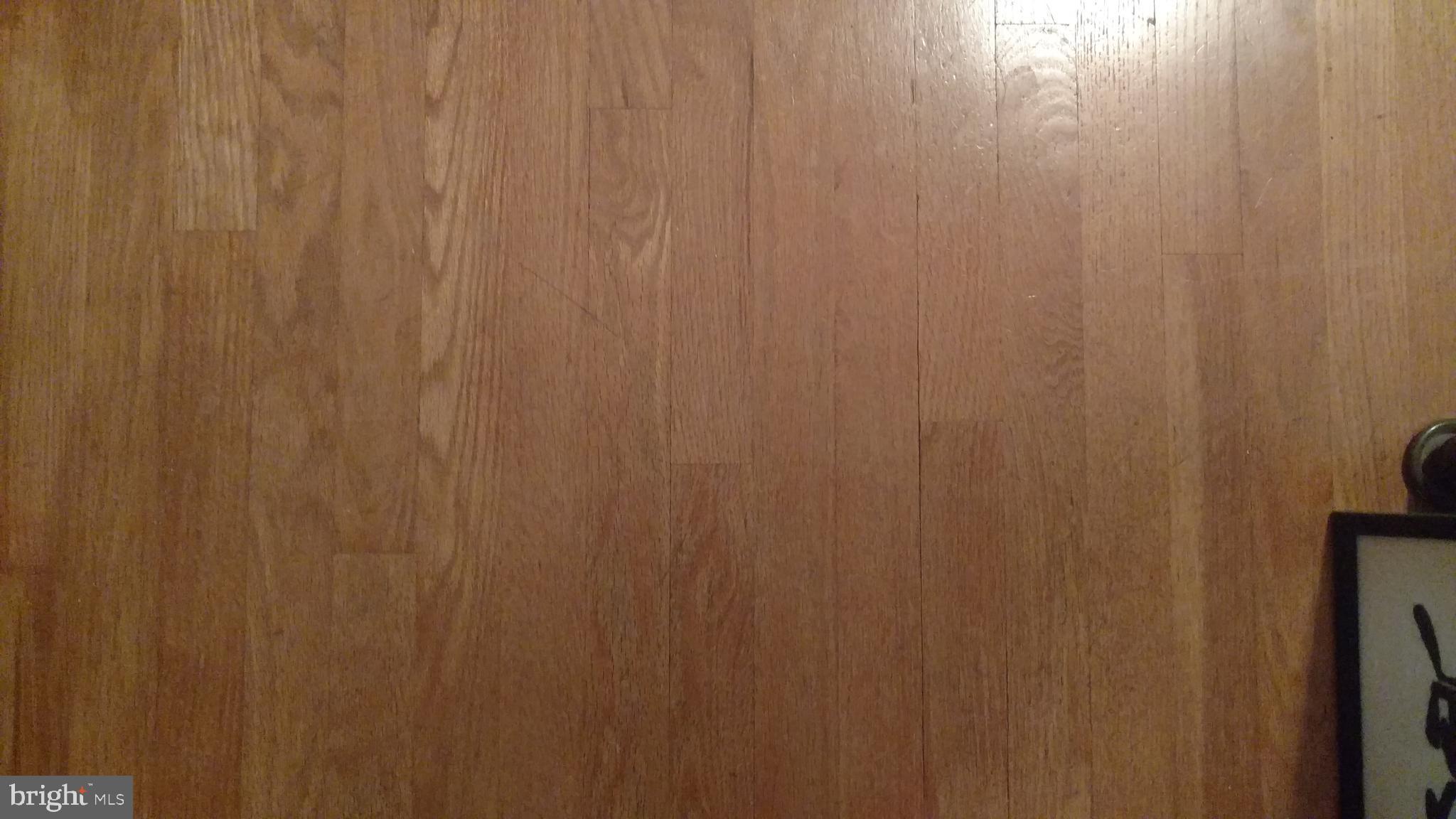 228 Salt Road Enola, PA 17025 - Photo 12 of 14 HW floors under all carpets. BRs presently exposed