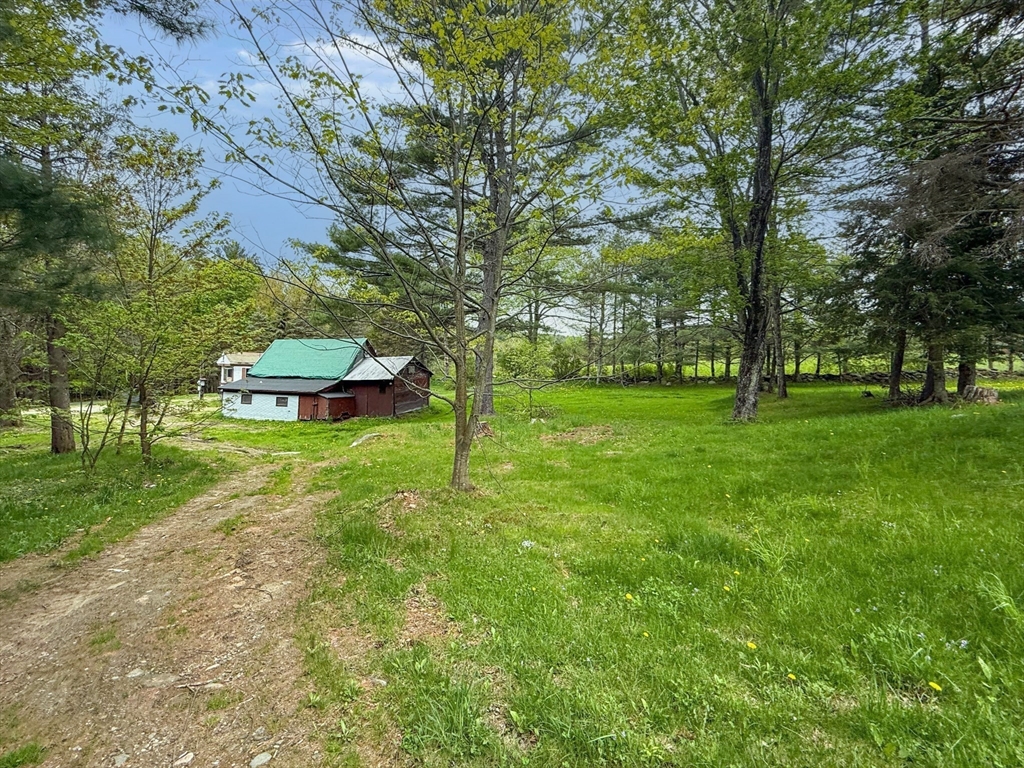 594 Route 8A Heath, MA 01340 - Photo 6 of 14 a view of a park with large trees