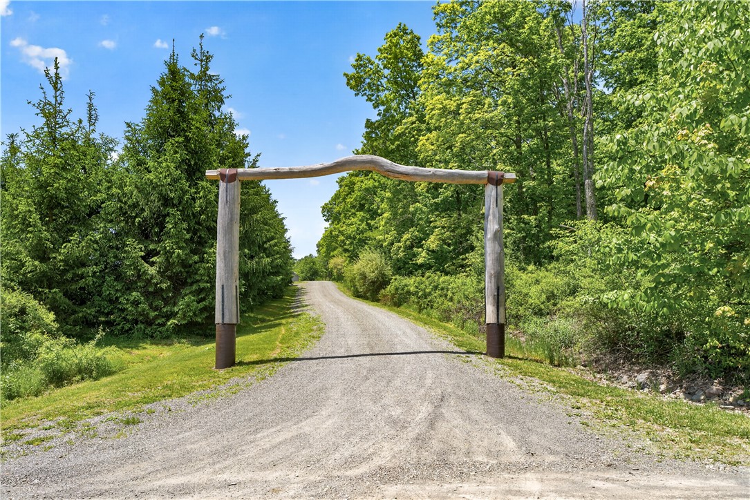 121 Lang Road Spencer, NY 14883 - Photo 4 of 49