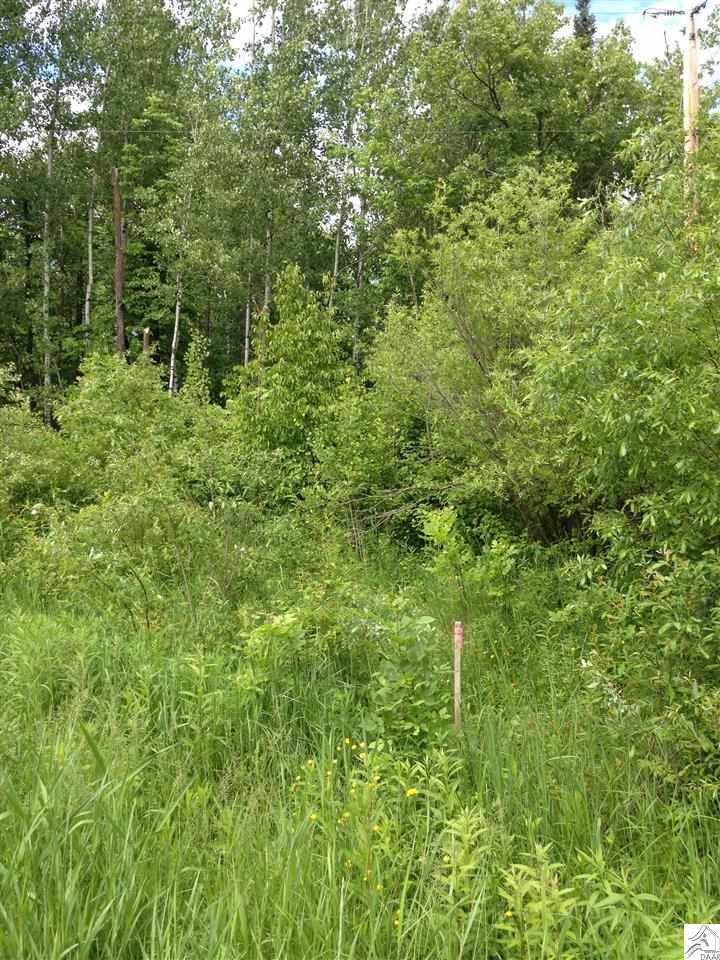 Xxx Kangas Road Esko, MN 55733 - Photo 1 of 1 Gallery Image 1