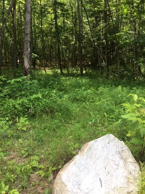 Lot 3 Dead River Road Bowdoin, ME 04287 - Photo 1 of 10 Photo
