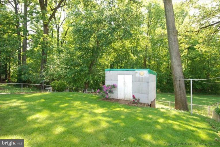 904 Snure Road Silver Spring, MD 20901 - Photo 13 of 19 Back yard