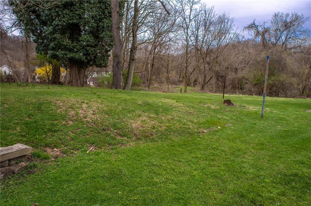 950 Stanford Road Pittsburgh, PA 15212 - Photo 6 of 25 Great Yard!!.