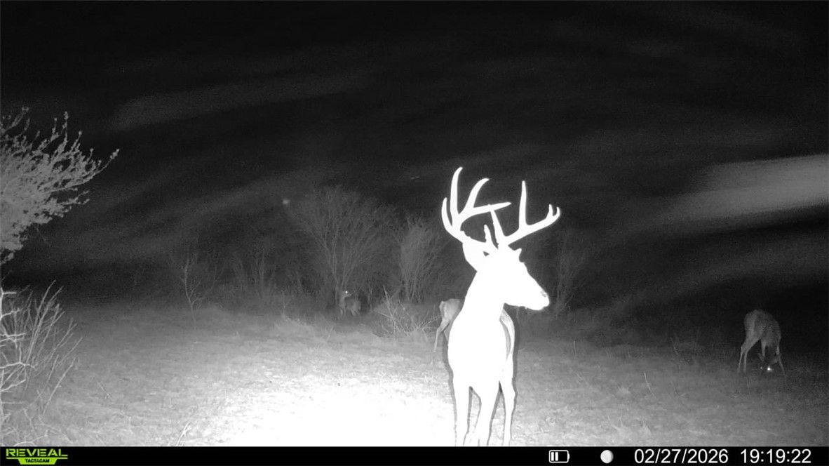 0 Cr 119 Alice, TX 78332 - Photo 11 of 40