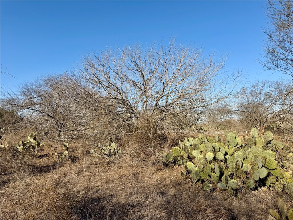 0 Cr 119 Alice, TX 78332 - Photo 20 of 40