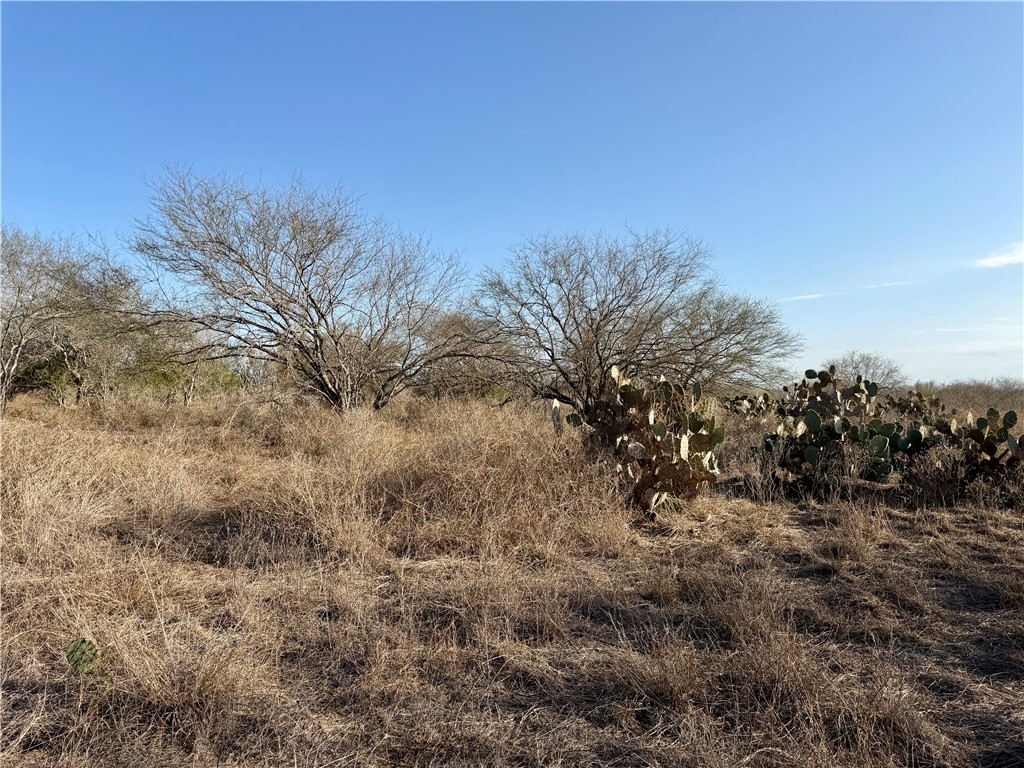0 Cr 119 Alice, TX 78332 - Photo 22 of 40