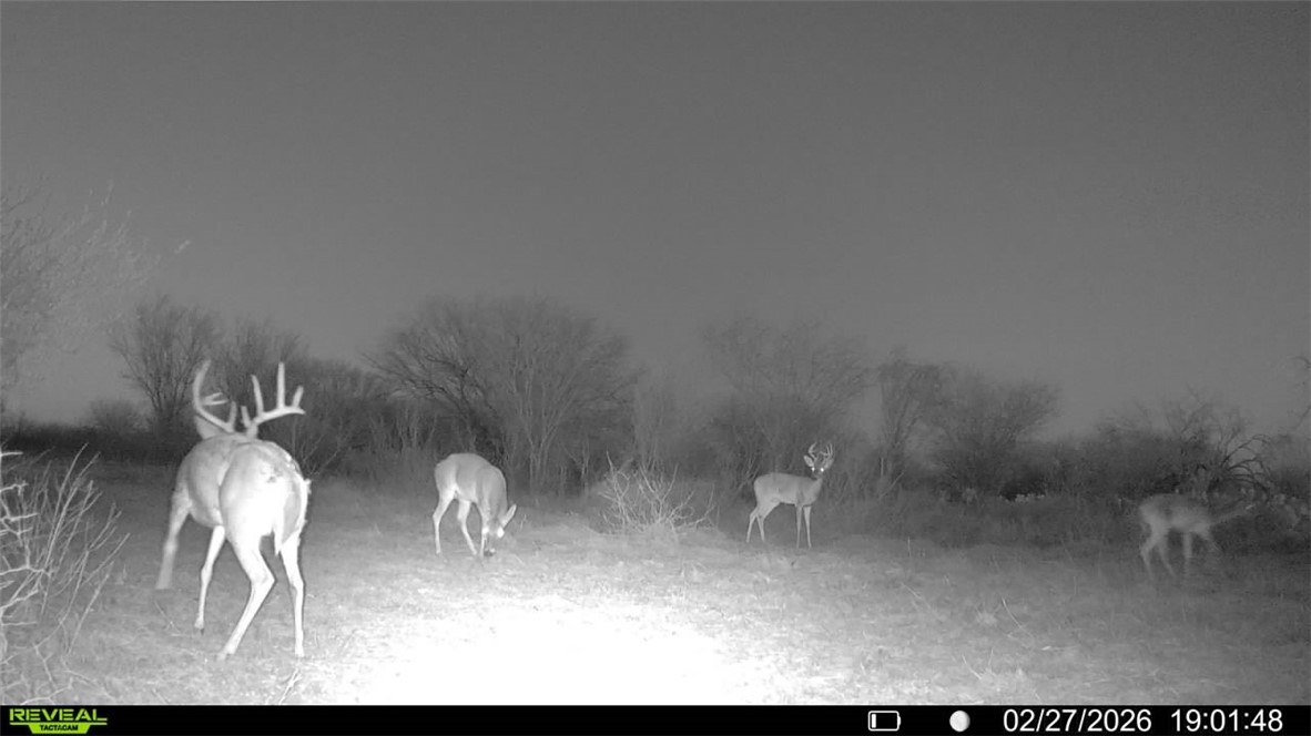 0 Cr 119 Alice, TX 78332 - Photo 25 of 40