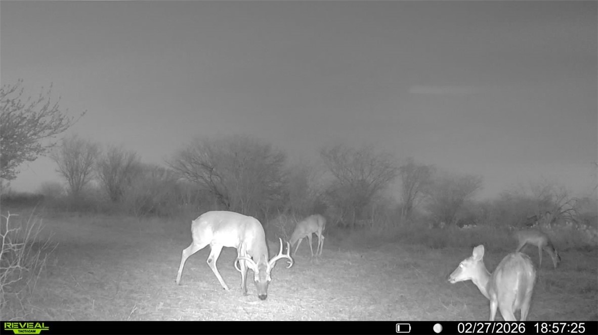 0 Cr 119 Alice, TX 78332 - Photo 29 of 40