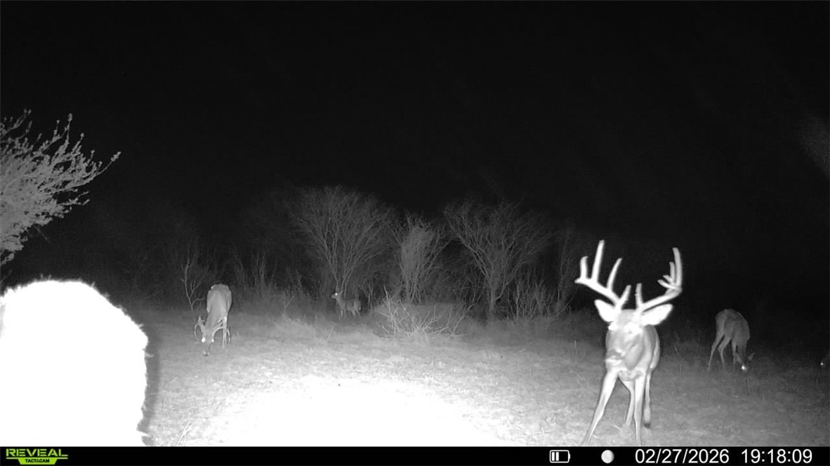 0 Cr 119 Alice, TX 78332 - Photo 3 of 40