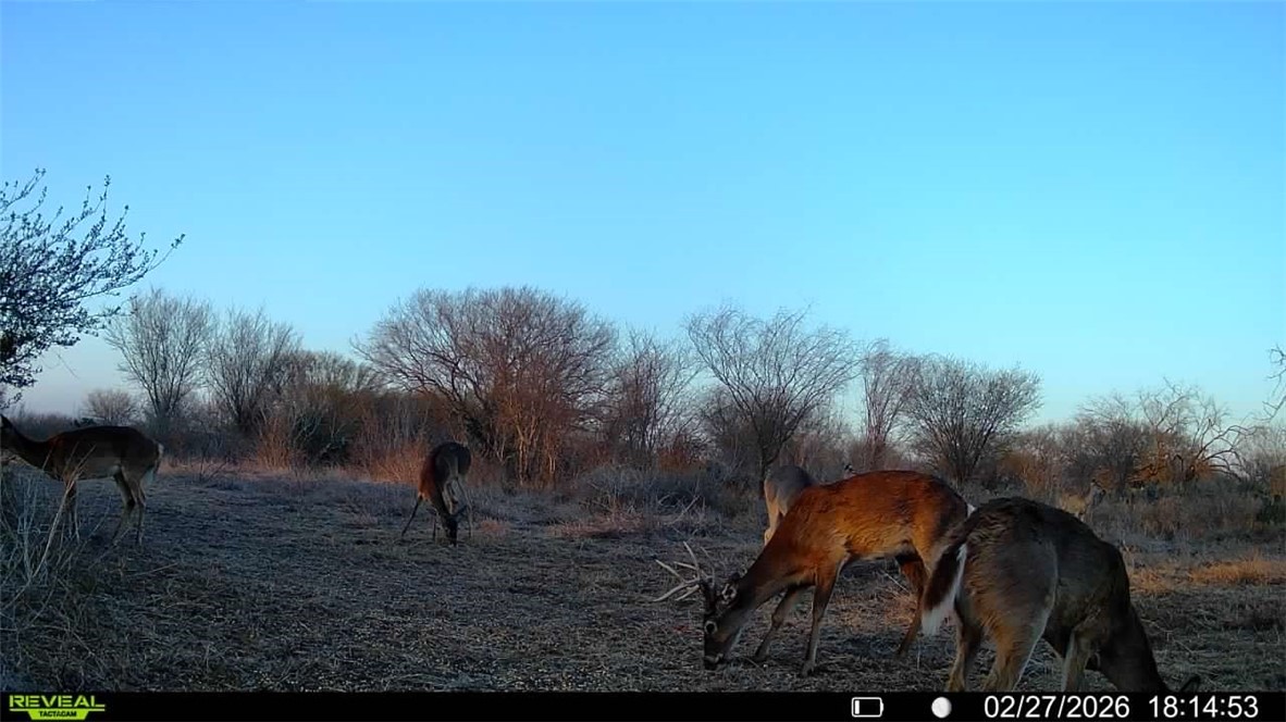 0 Cr 119 Alice, TX 78332 - Photo 31 of 40