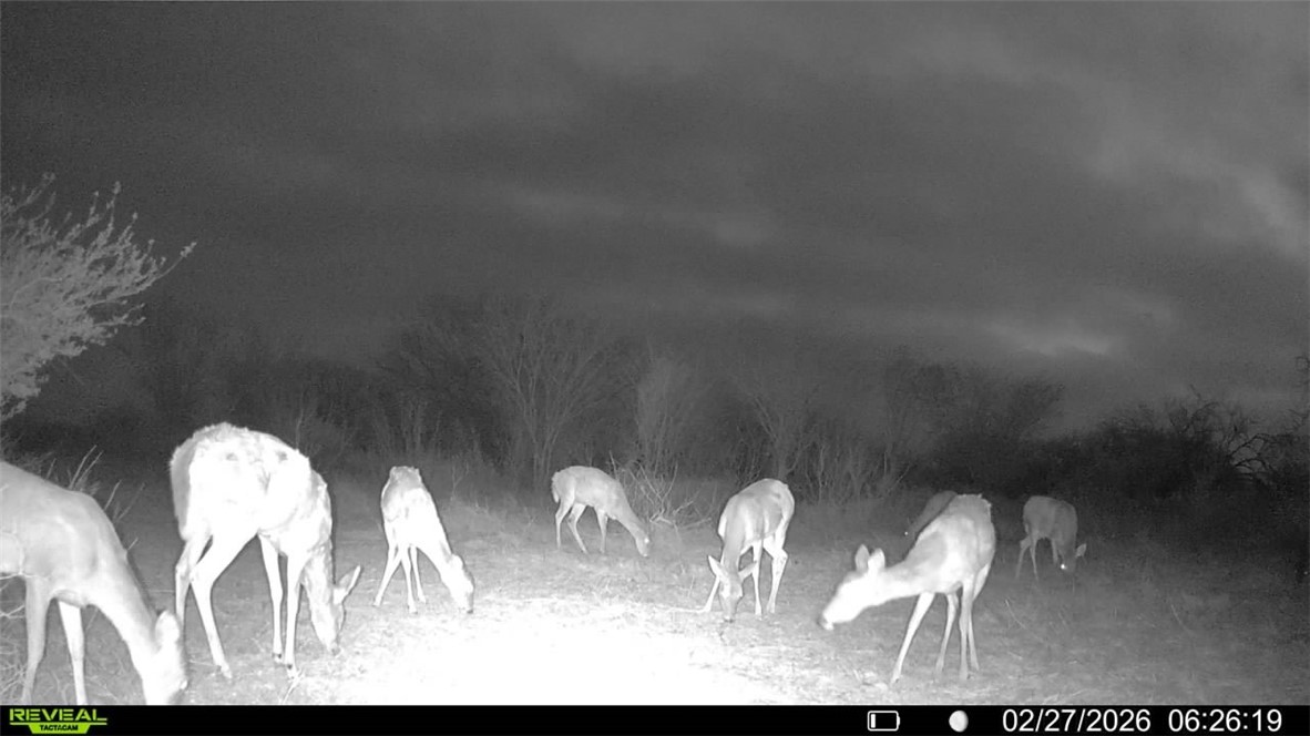 0 Cr 119 Alice, TX 78332 - Photo 33 of 40