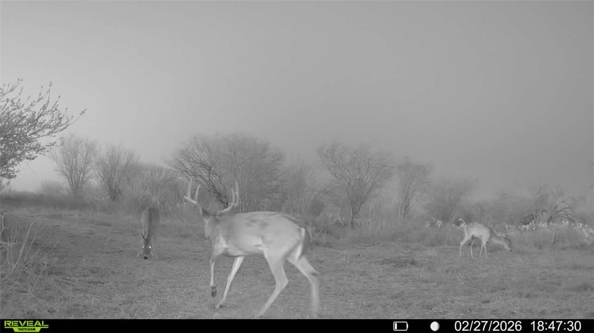 0 Cr 119 Alice, TX 78332 - Photo 35 of 40