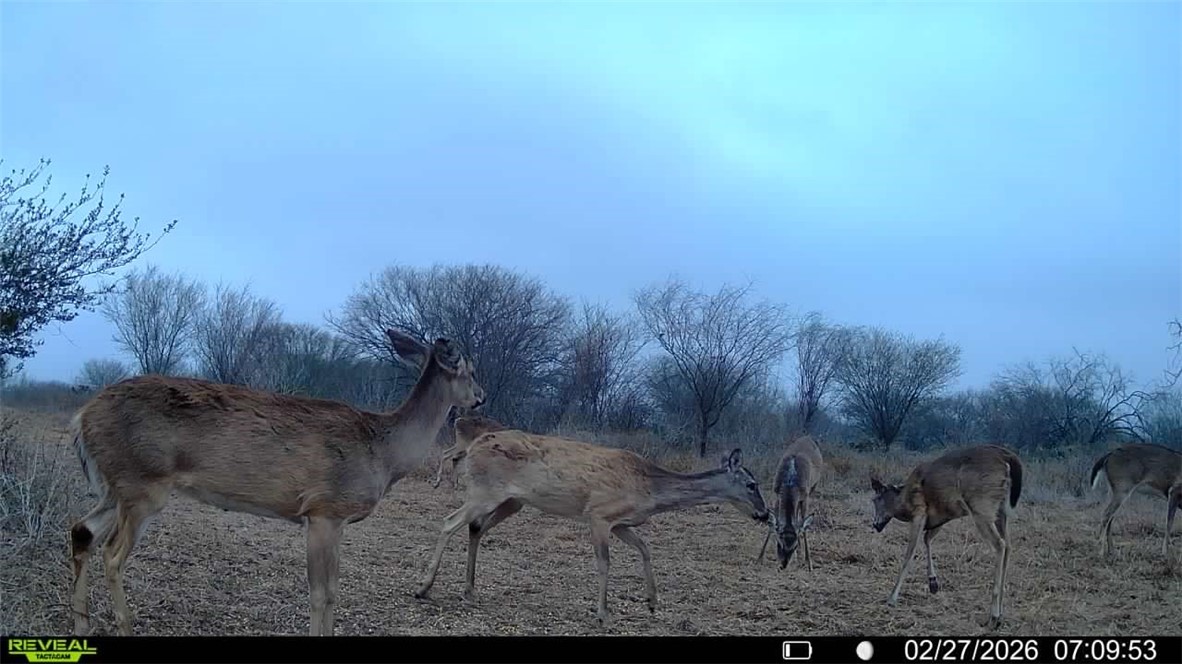 0 Cr 119 Alice, TX 78332 - Photo 36 of 40