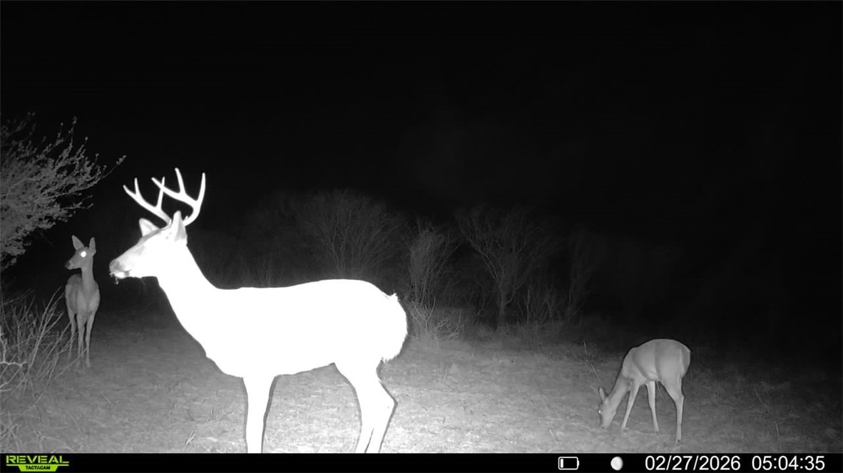 0 Cr 119 Alice, TX 78332 - Photo 38 of 40