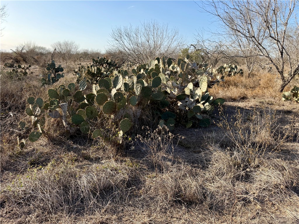 0 Cr 119 Alice, TX 78332 - Photo 40 of 40