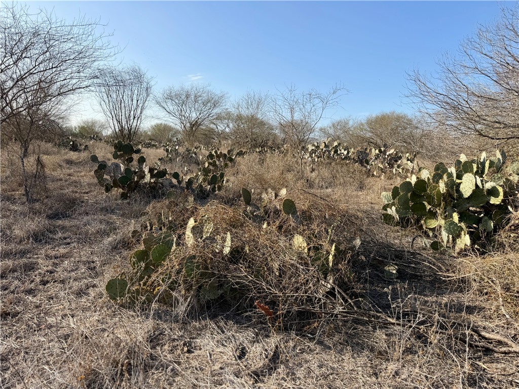 0 Cr 119 Alice, TX 78332 - Photo 4 of 40