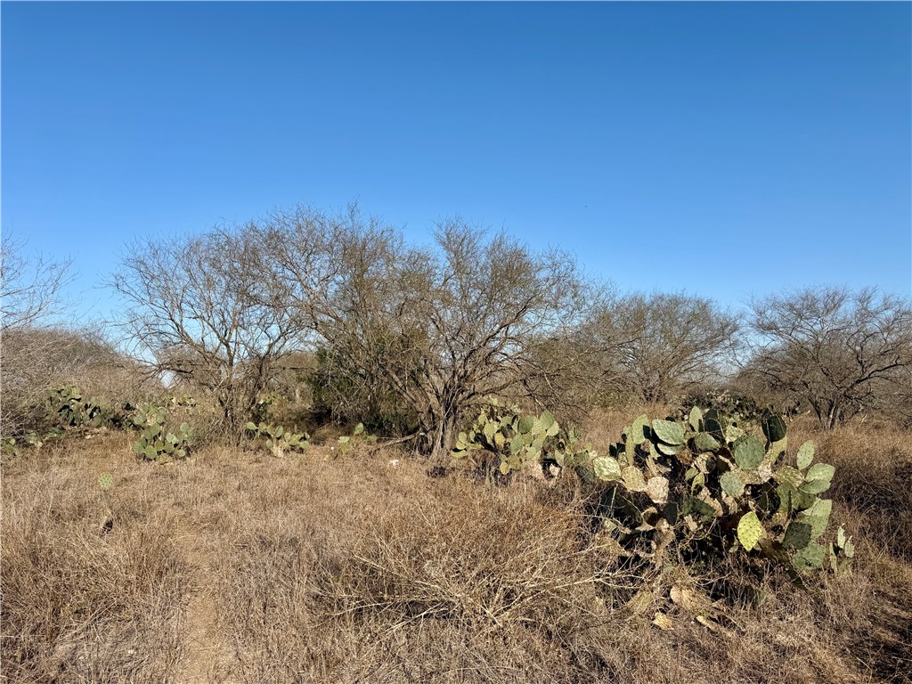 0 Cr 119 Alice, TX 78332 - Photo 6 of 40