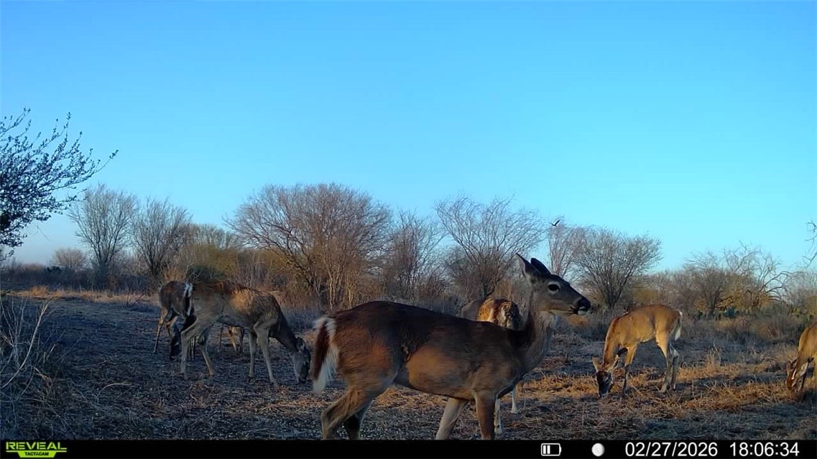 0 Cr 119 Alice, TX 78332 - Photo 7 of 40