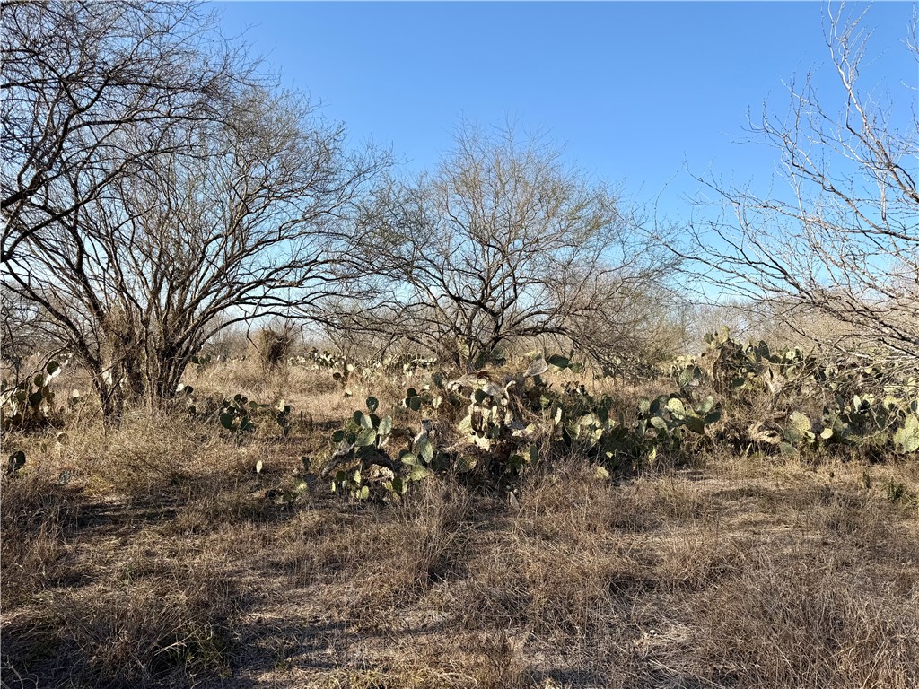 0 Cr 119 Alice, TX 78332 - Photo 8 of 40