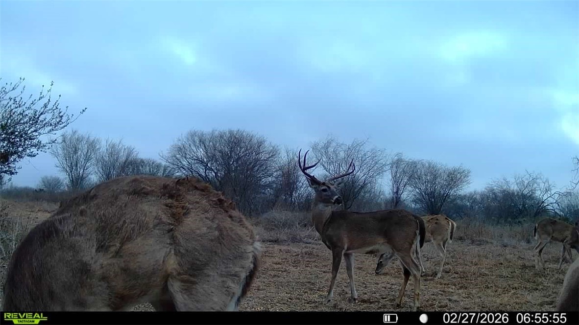 0 Cr 119 Alice, TX 78332 - Photo 9 of 40