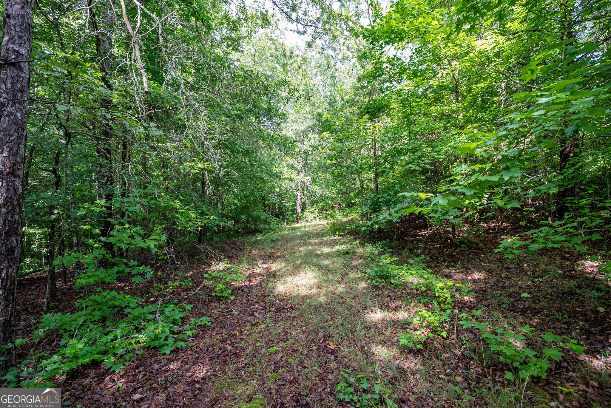 2286 Duffell Martin Road Comer, GA 30629 - Photo 30 of 81