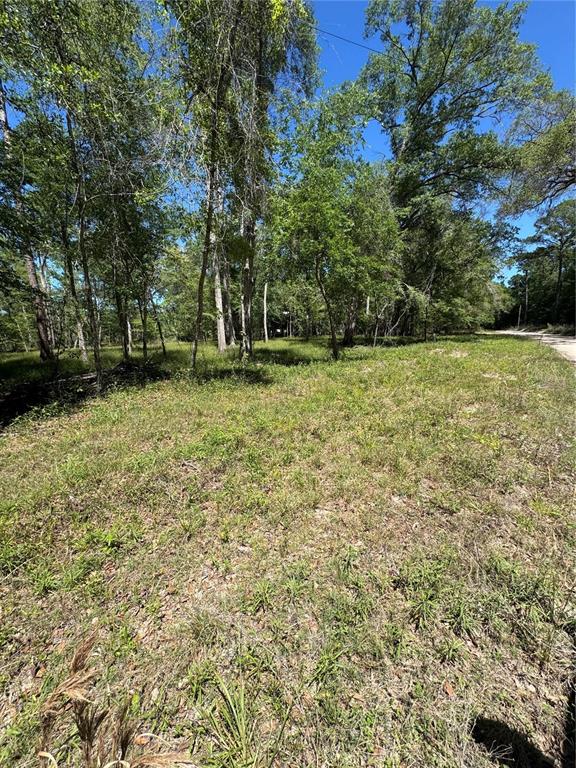Tbd Southwest 25th Place Bell, FL 32619 - Photo 2 of 5 a fire hydrant in the middle of a field