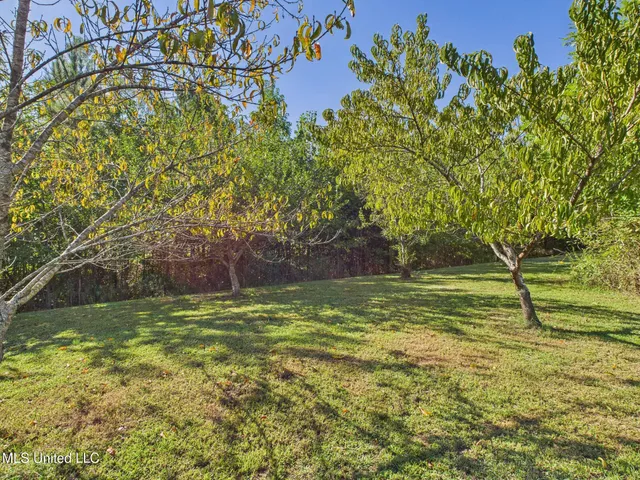 $474,900 | 5641 Rock Creek, Coldwater, MS 38618