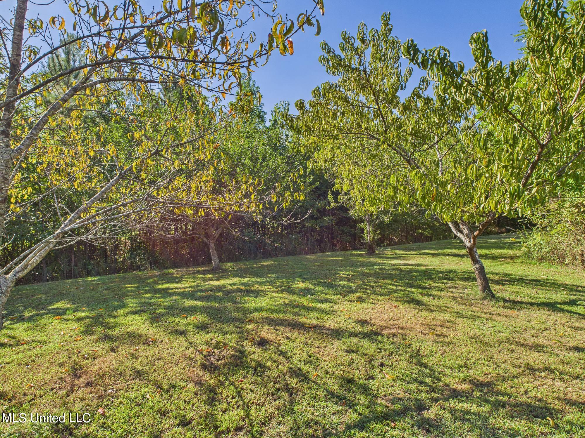 5641 Rock Creek Coldwater, MS 38618 - Photo 23 of 24 17E06286-6214-4165-AE31-43C65942CD98
