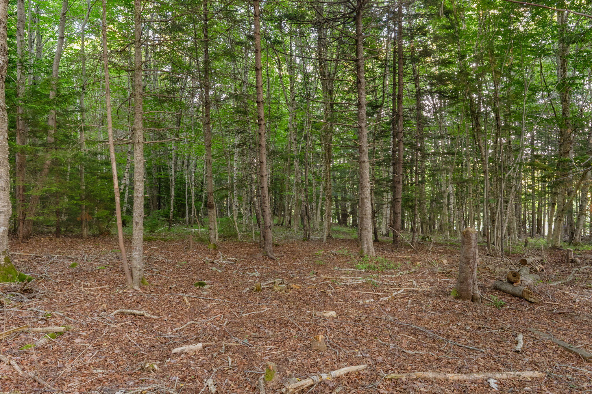 5 Cedar Hill Road Tremont, ME 04612 - Photo 59 of 80 5 Cedar Hill Rd