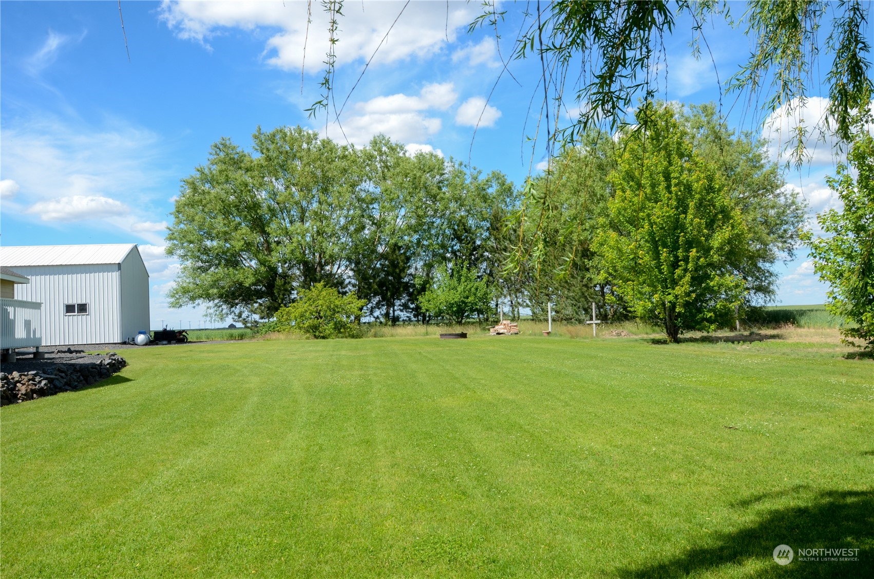 1241 North Sage Road Ritzville, WA 99169 - Photo 39 of 40 a view of a field of grass and trees