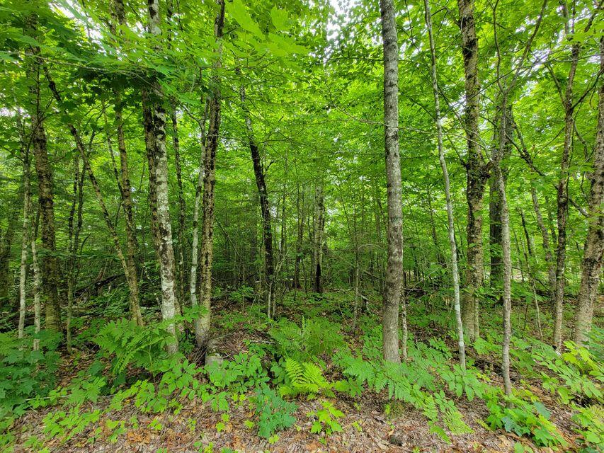 1 Railroad Bed Rd Lake View Milo, ME 04463 - Photo 17 of 27 lot1